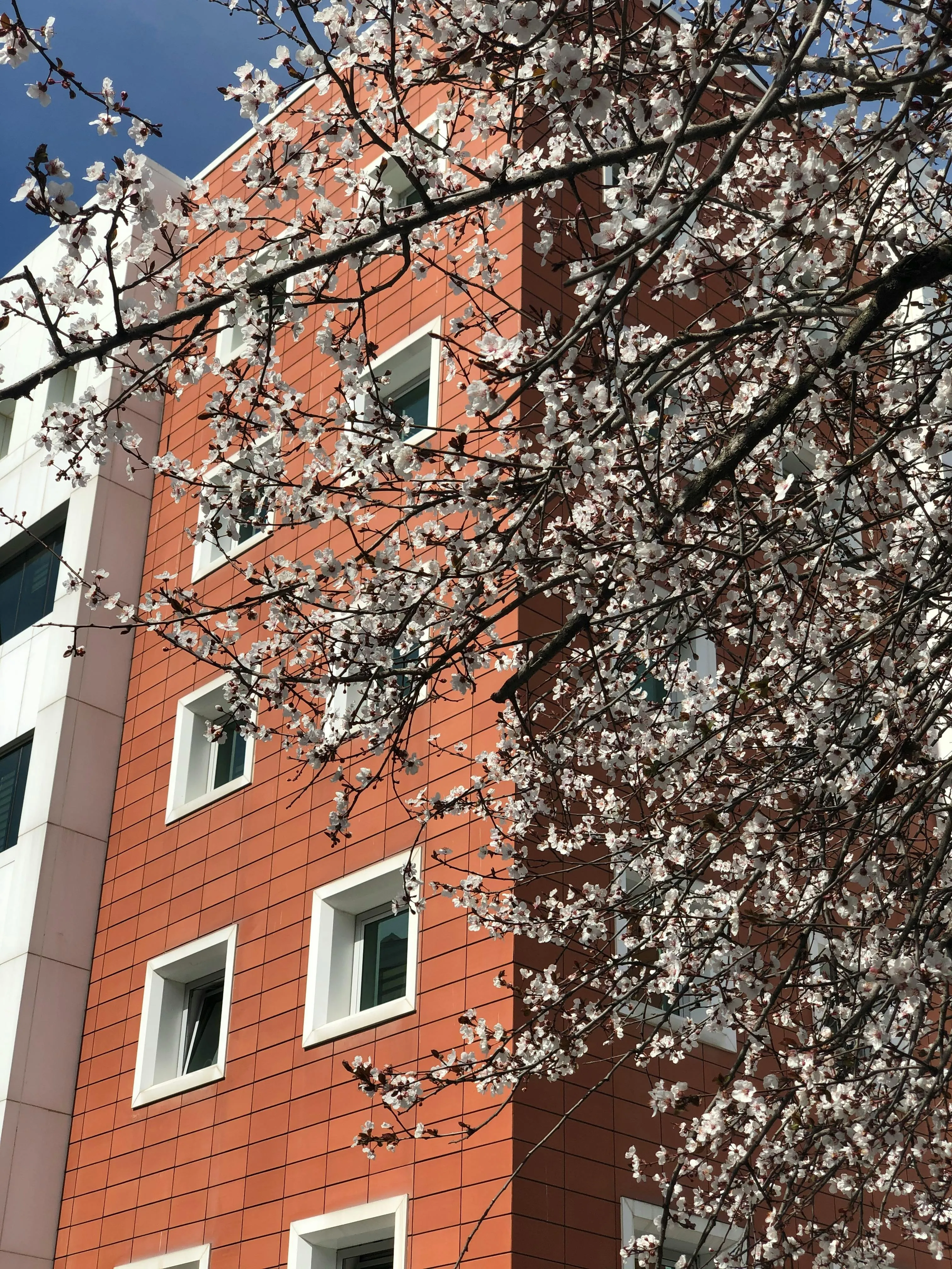 Ankara Bahar Temizlik Kampanyası